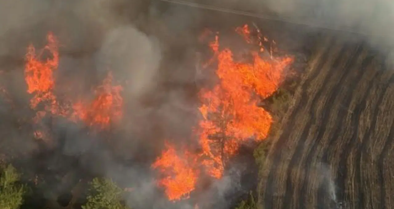 Adana’nın İmamoğlu ilçesindeki yangın kontrol altına alındı