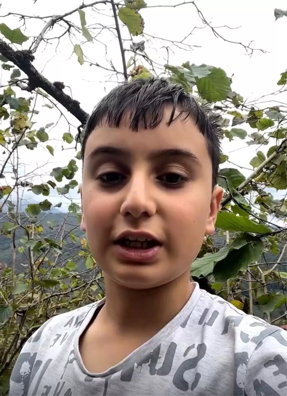 Ahmet Talha’dan Gazze İçin Fındık Toplama Kampanyası