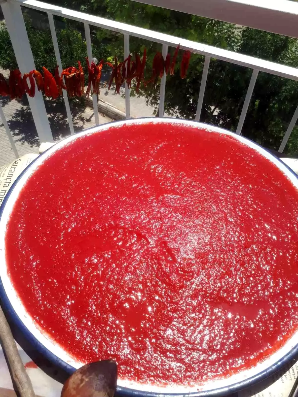 Aydın’da Domates Sezonu ve Kış Hazırlıkları