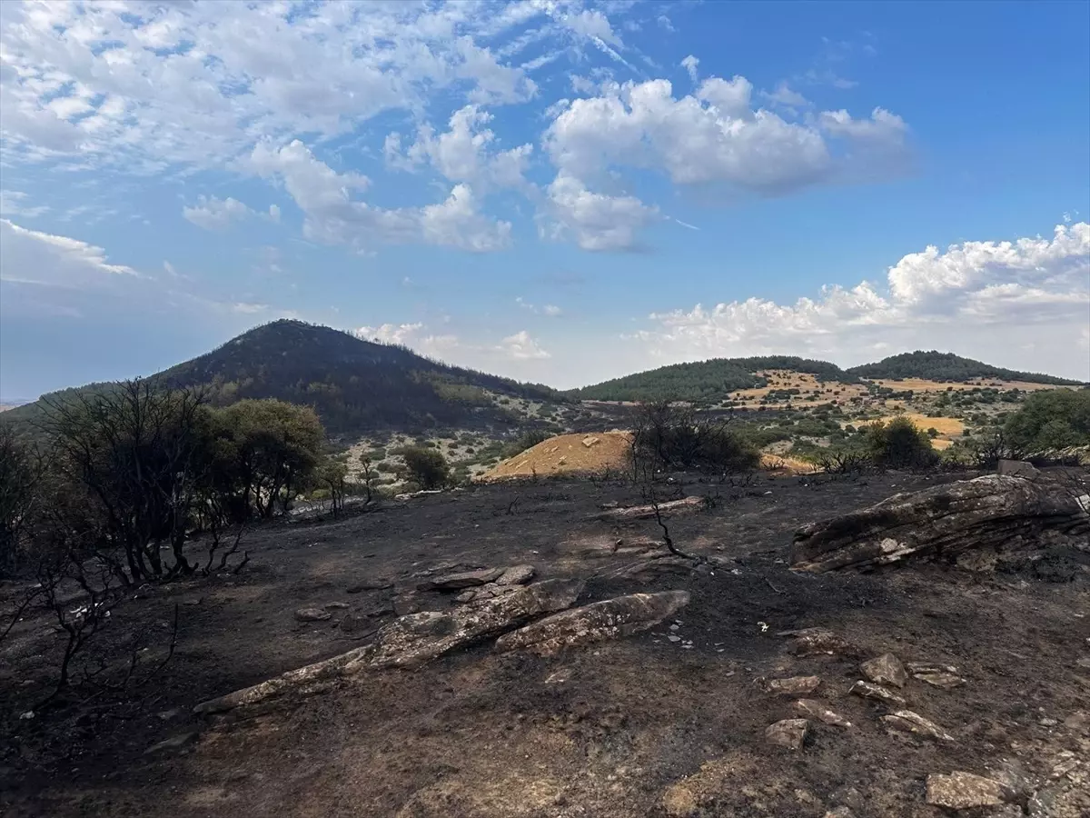 Keşan’da Orman Yangını İncelemesi