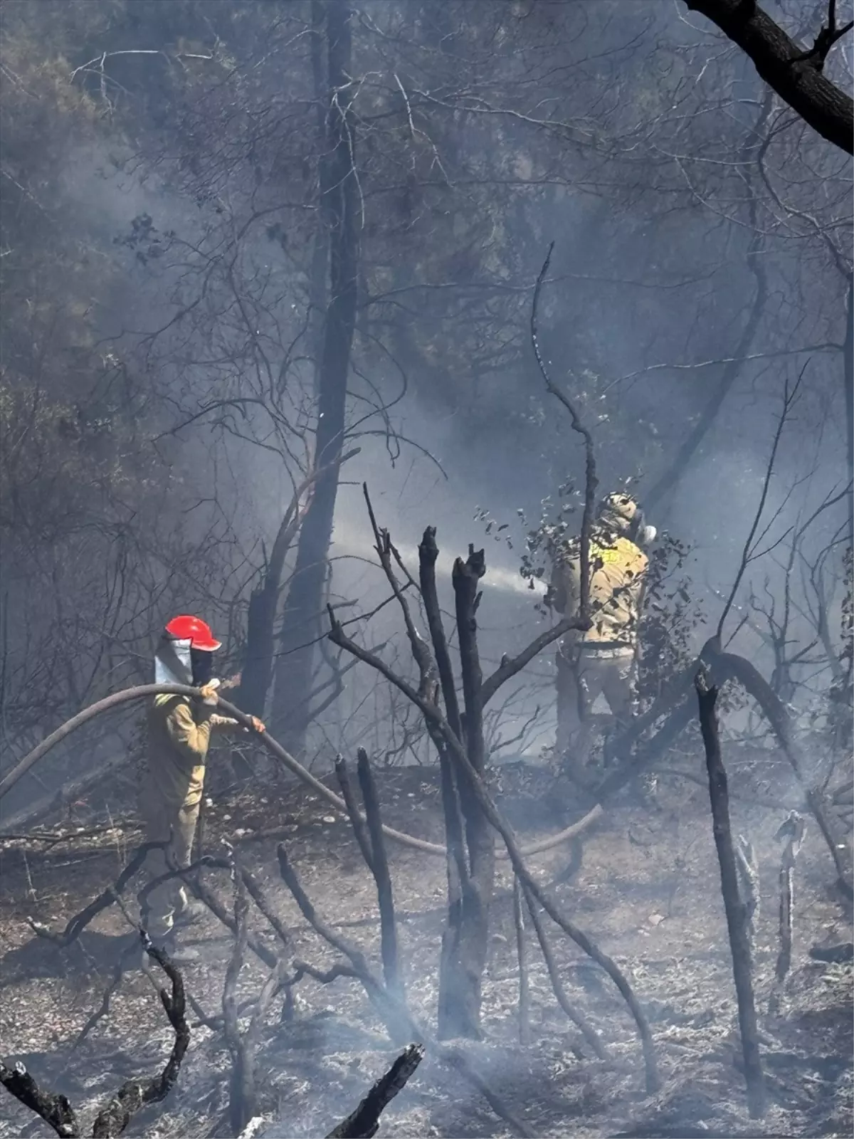 Osmaniye’de Orman Yangını Kontrol Altında