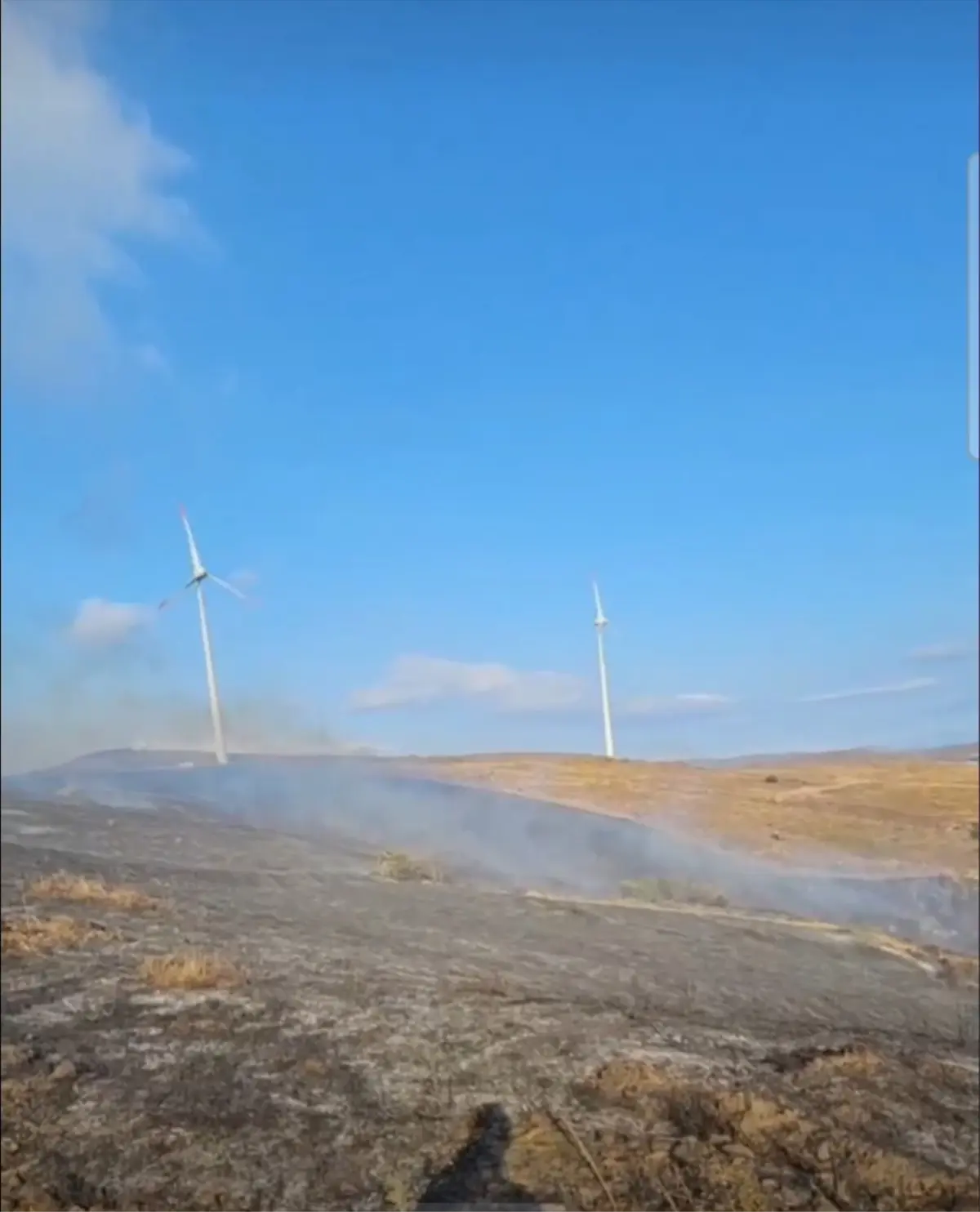 Paşalimanı Adası’nda Yangın