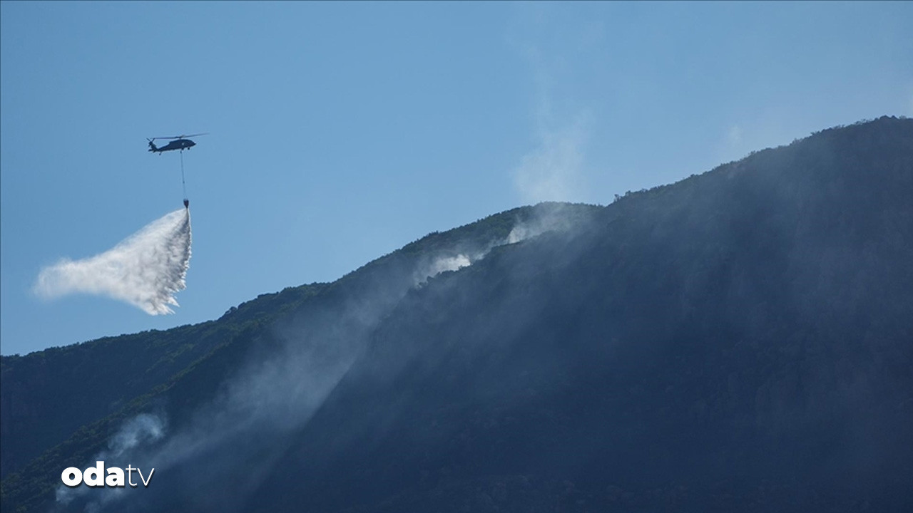 Seferihisar’da orman yangını çıktı