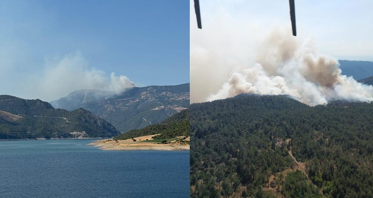 Sinop’ta orman yangını! Evler tahliye ediliyor