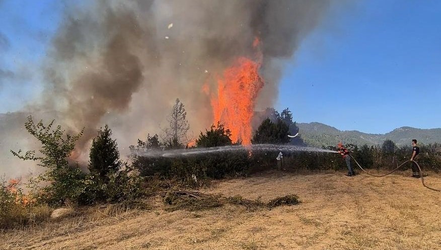 Bursa’da orman yangını: Müdahale sürüyor