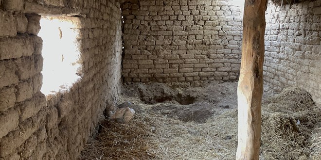 14 yıllık kayıp cinayet çözüldü: Kardeşi öldürüp gömmüş!