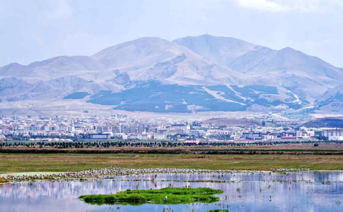 2023 Beşeri Sermaye Endeksi Açıklandı