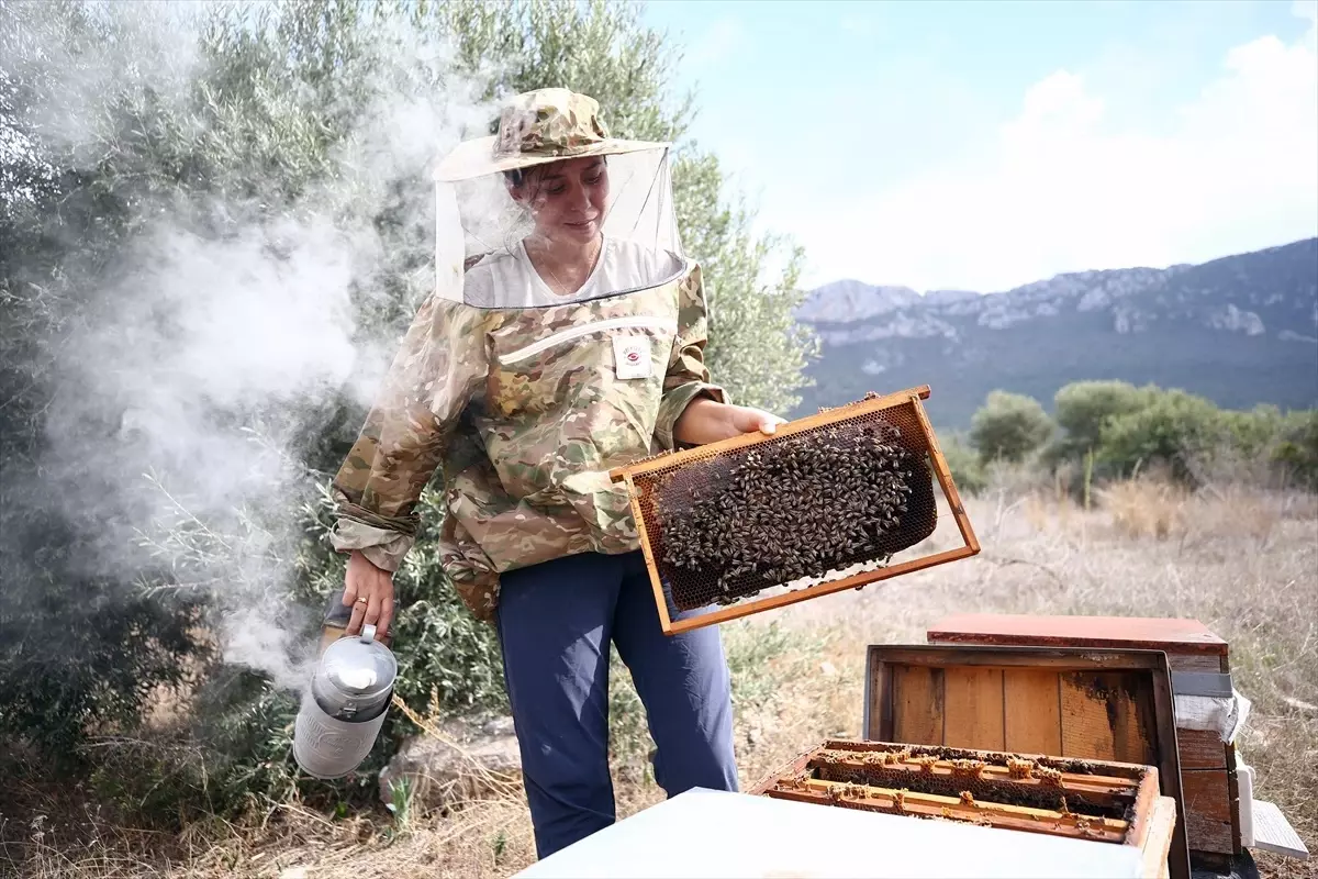 Kadın Arıcı Metanet Çelik’in Başarısı