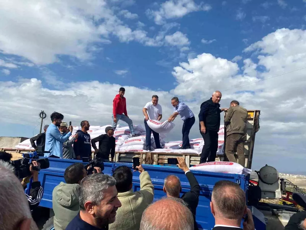 Sincan Belediyesi, Çiftçilere Yüzde 75 Hibeli Buğday Tohumu Desteği Verdi