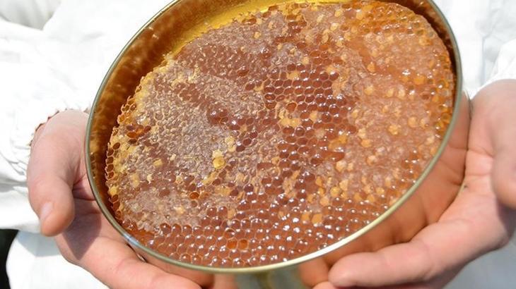 Türk balında 23,4 milyon dolarlık ihracat gerçekleştirildi