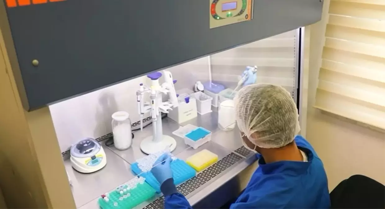 Eski Cinayetler Aydınlatıldı