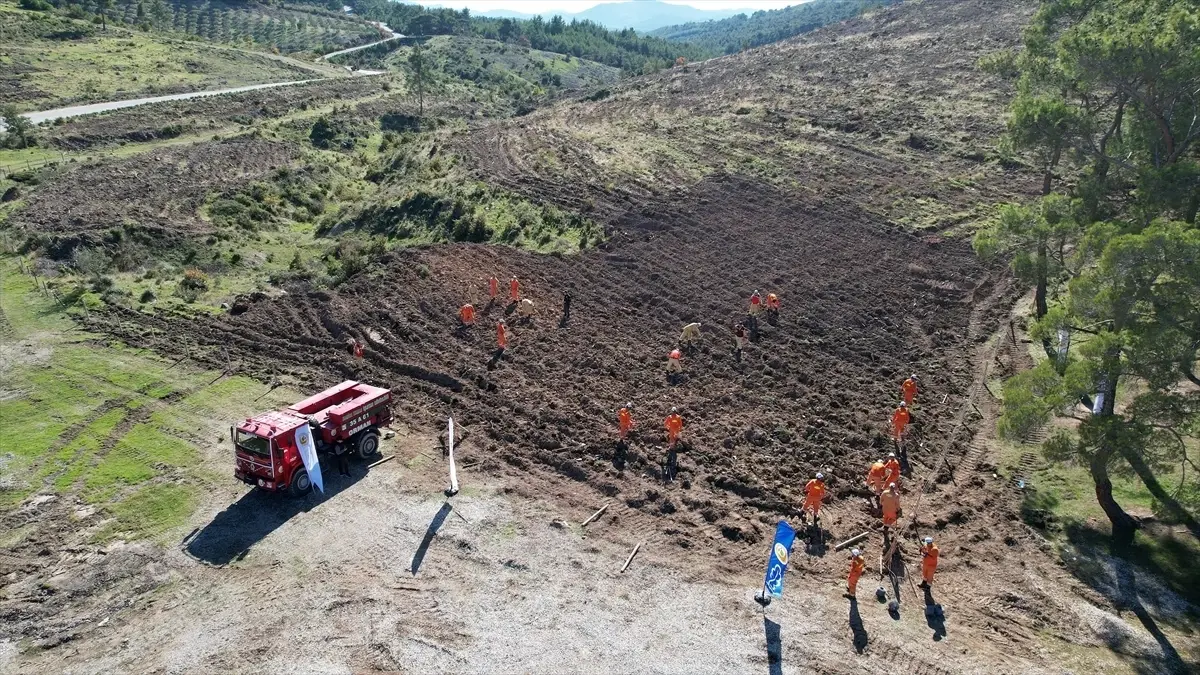 Hükümlüler Ormanların Korunması İçin Çalışıyor