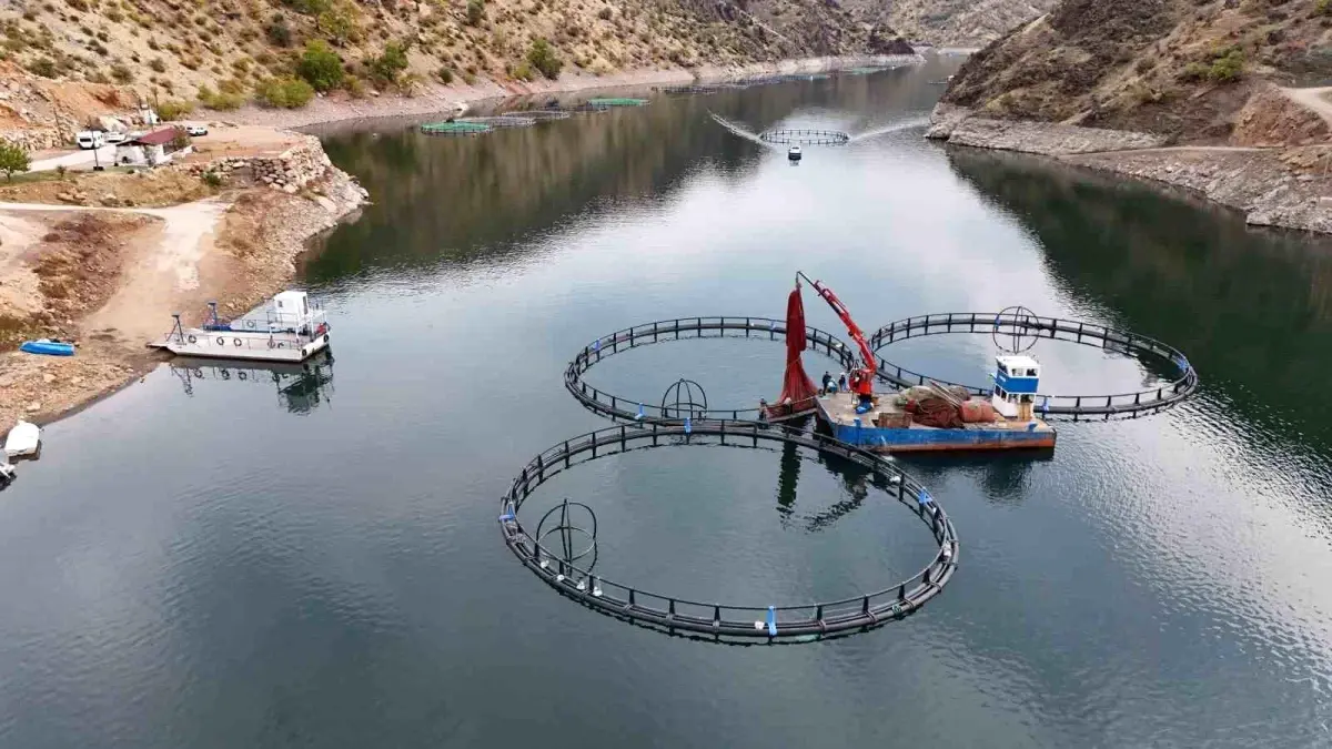 Mezopotamya Somonu Dünyaya Açılıyor