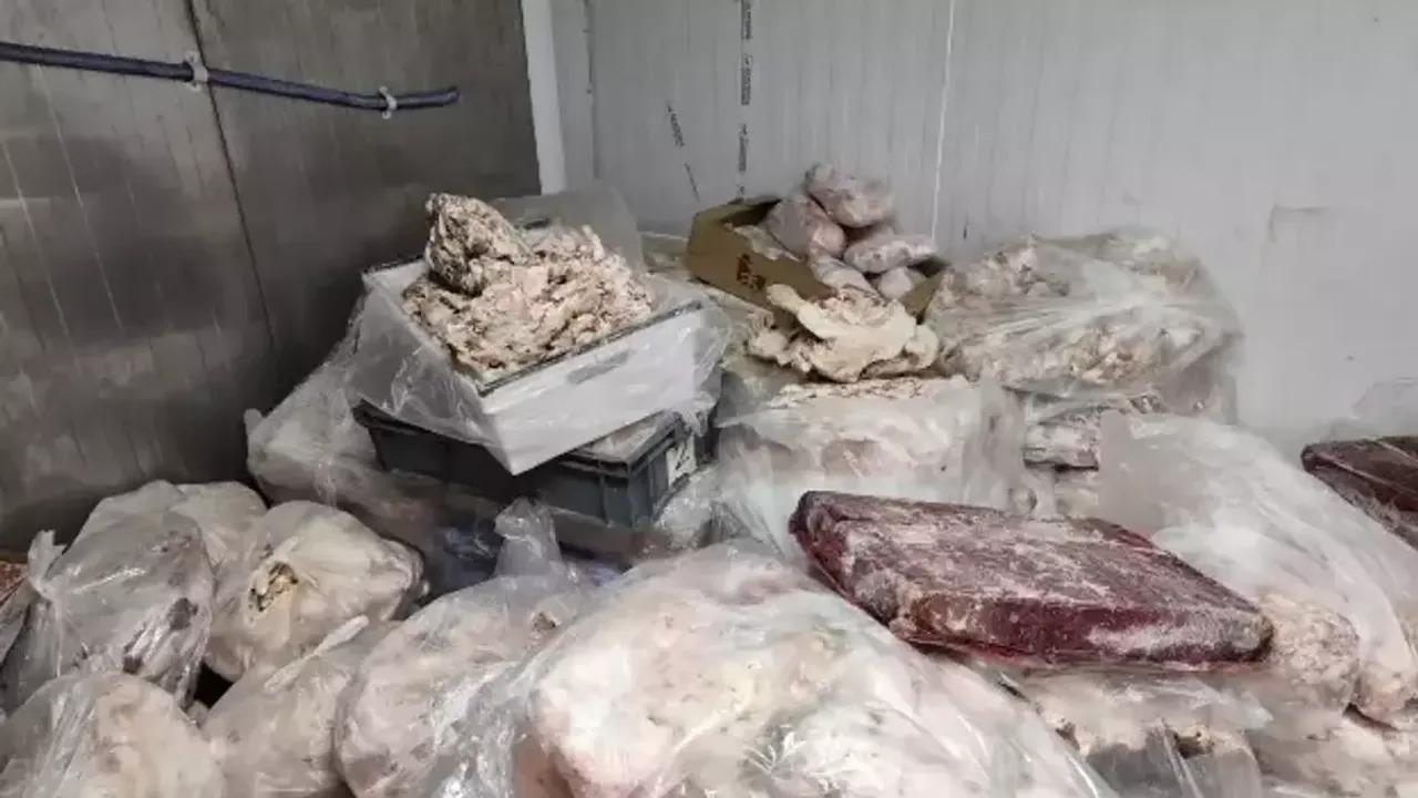 Piyasaya süreceklerdi:  25 ton bozuk tavuk ürünü ele geçirildi