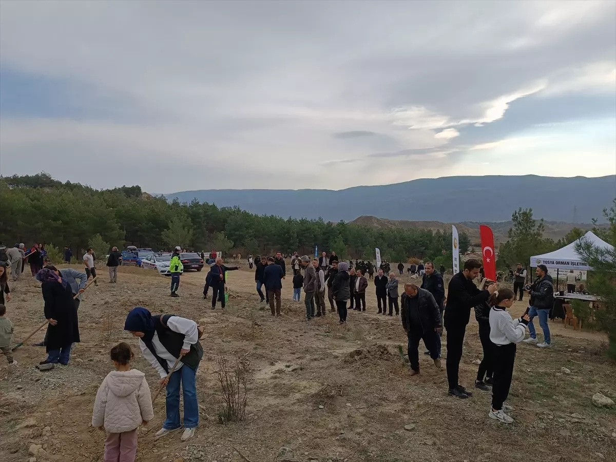 Tosya’da Milli Ağaçlandırma Günü’nde fidan dikimi yapıldı