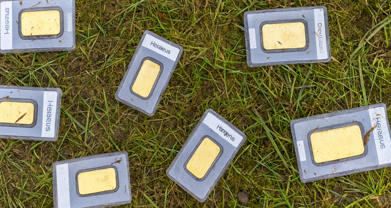 Çim biçerken 1,5 milyon liralık altın buldu