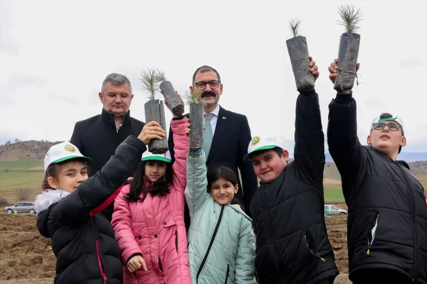 Taşköprü’de Ağaçlandırma Seferberliği: Fidan Dikimi Etkinliği Gerçekleşti