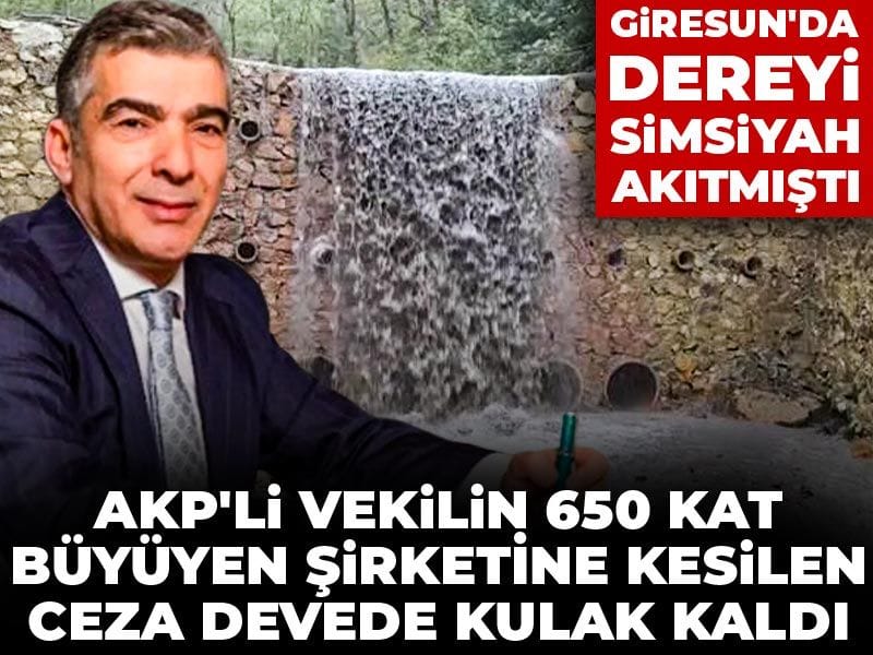 akpli-vekilin-650-kat-buyuyen-sirketine-kesilen-ceza-devede-kulak-kaldi-giresunda-dereyi-simsiyah-792lagq7