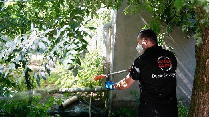 Düzce’de Asya Kaplan sivrisineği uyarısı!